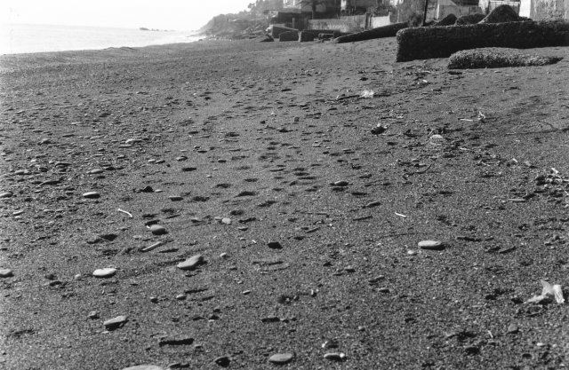 Spiaggia solitaria d&#039;inverno